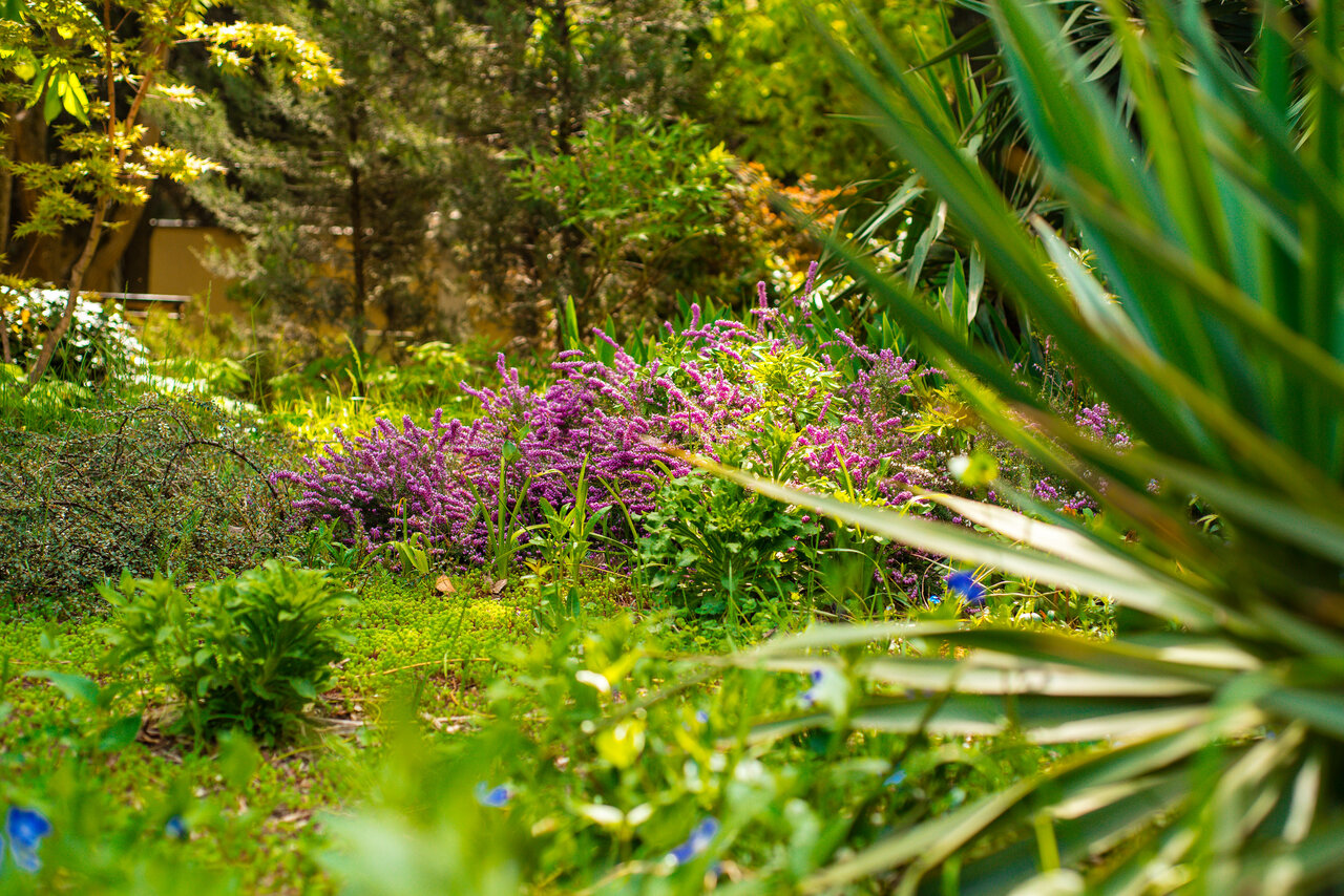 Гостиница Голден Алушта-214