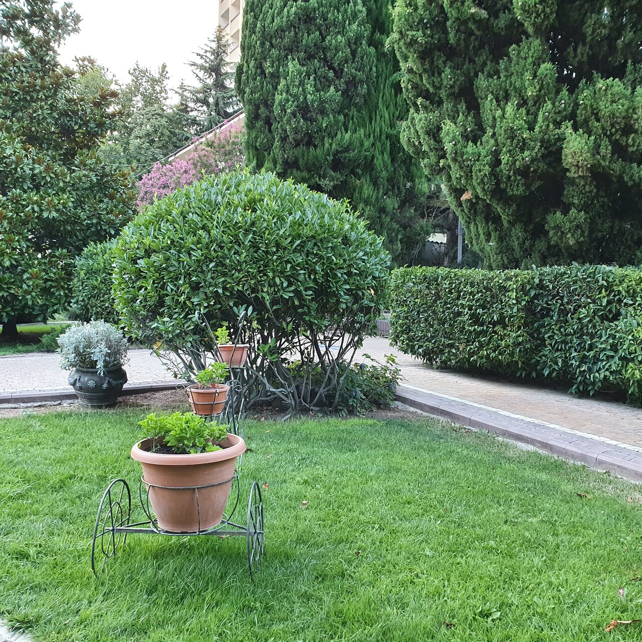 Гостиница Голден Алушта-56