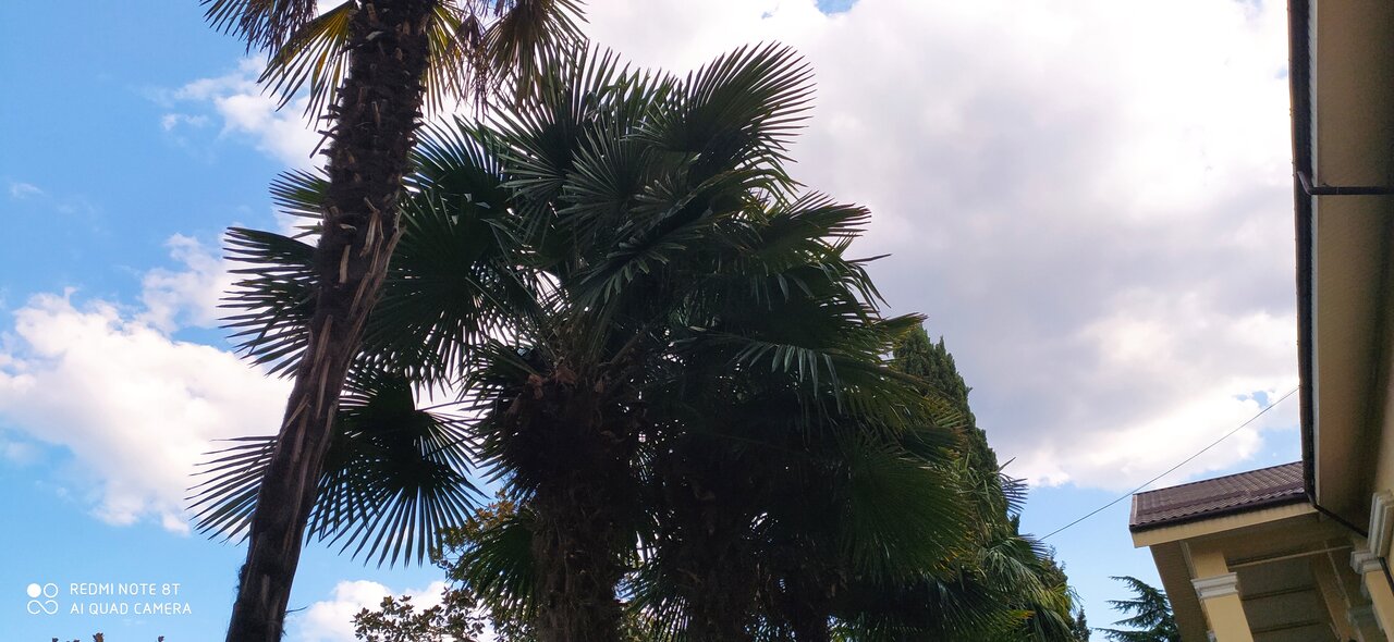 Гостиница Голден Алушта-52