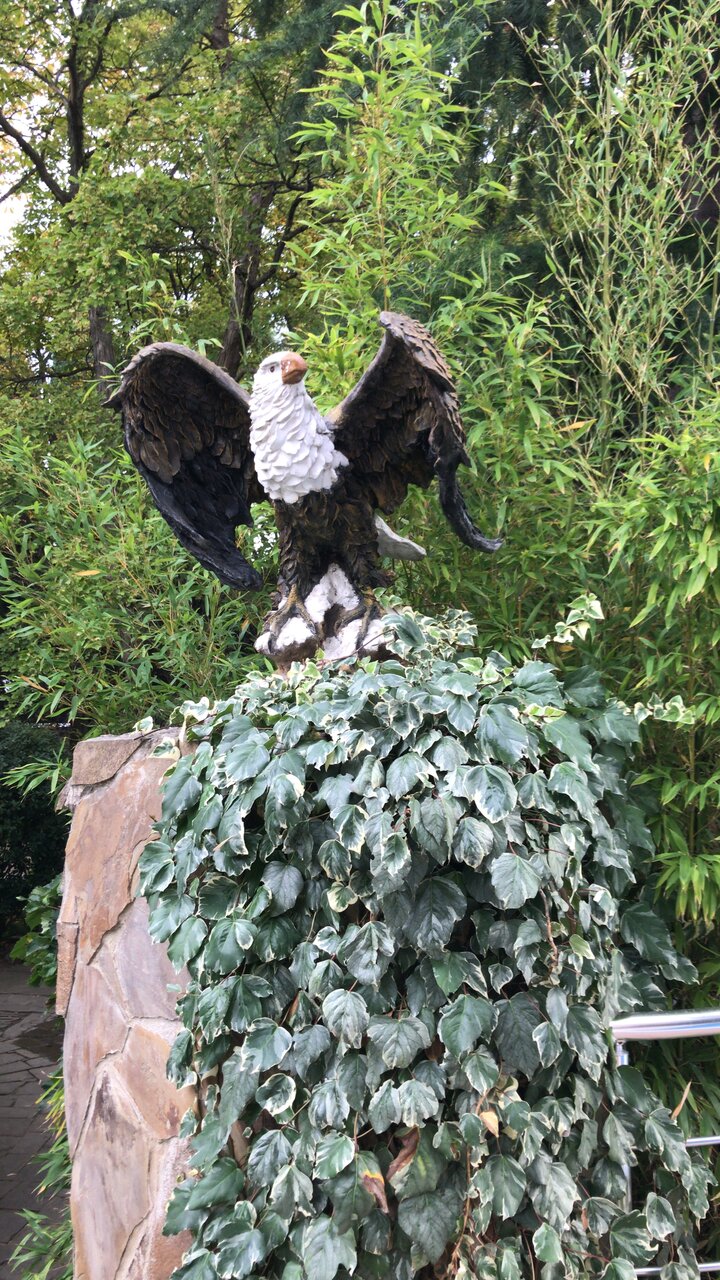 Гостиница Голден Алушта-113