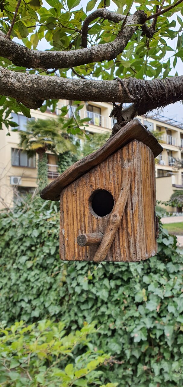 Гостиница Голден Алушта-80