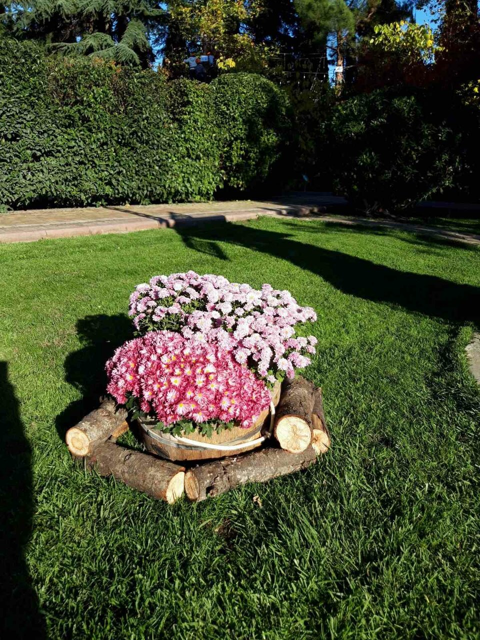 Гостиница Голден Алушта-189