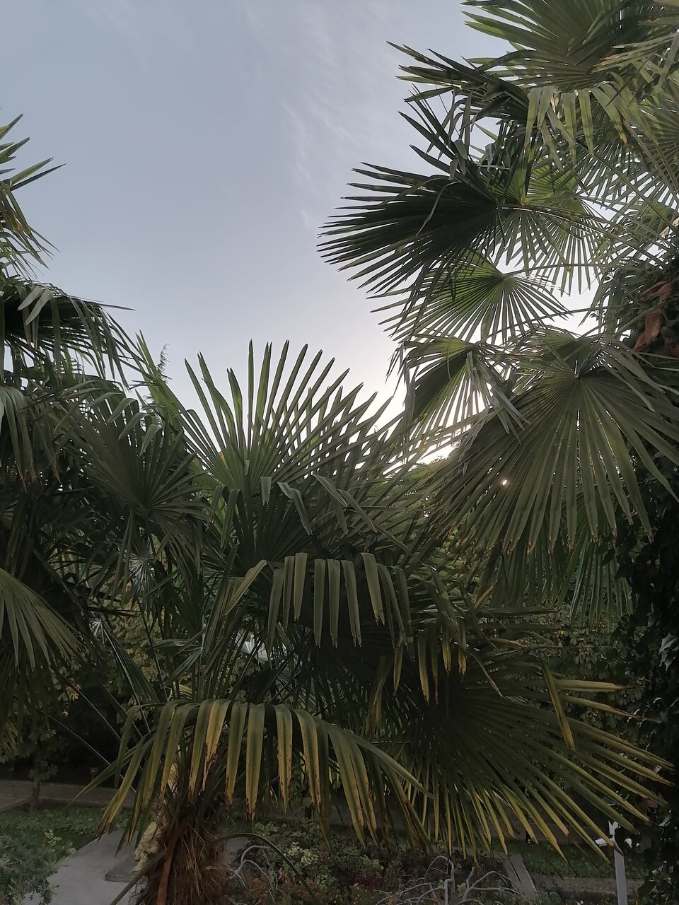 Гостиница Голден Алушта-77