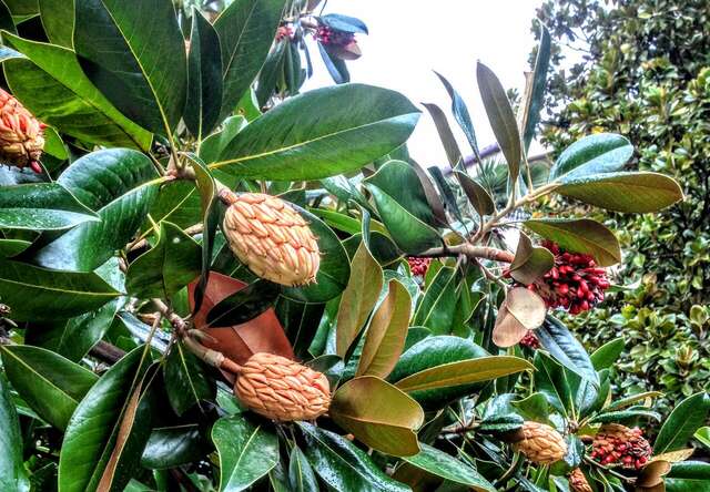 Гостиница Голден Алушта-142