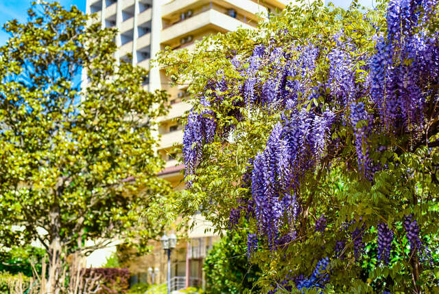 Гостиница Голден Алушта-209