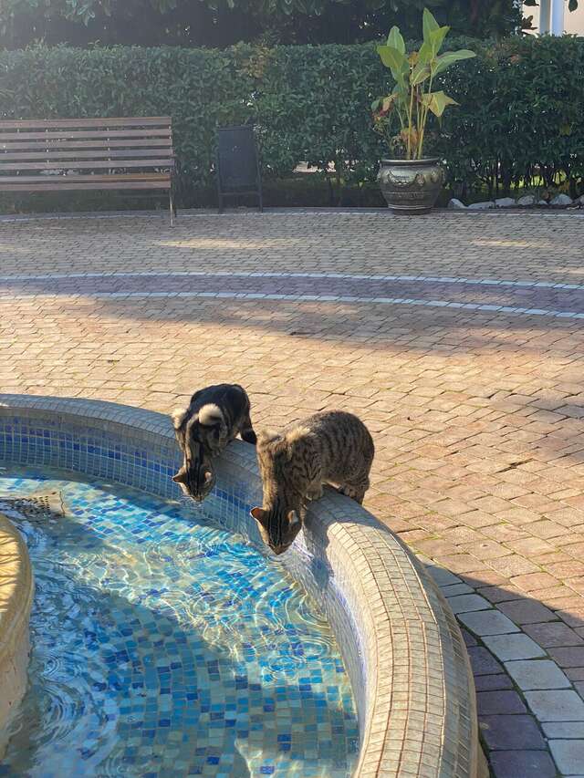 Гостиница Голден Алушта-120