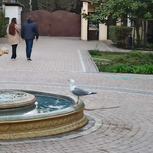 Гостиница Голден Алушта-124