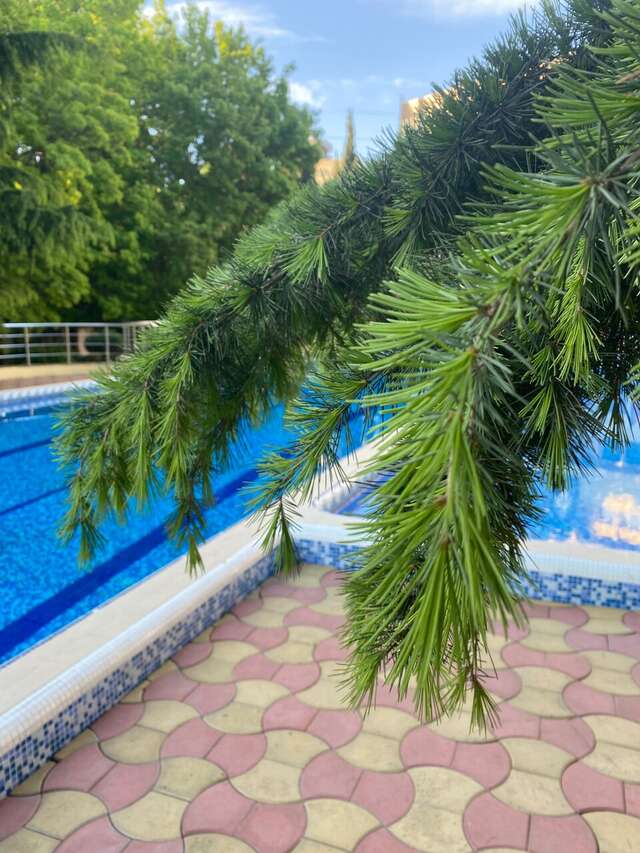 Гостиница Голден Алушта-249